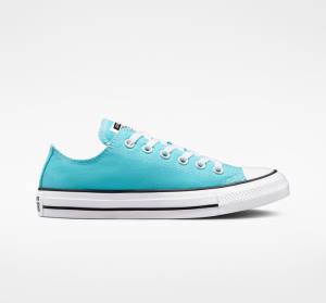 Converse Chuck Taylor All Star Seasonal Color Sneakers Low Blå Hvide Sort | CV-346KWG