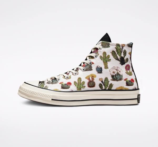 Converse Chuck 70 Succulents Sneakers High Sort | CV-576TLC