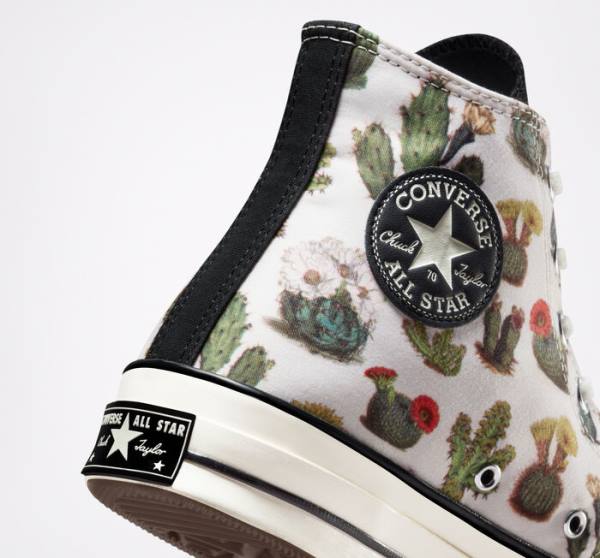 Converse Chuck 70 Succulents Sneakers High Sort | CV-576TLC
