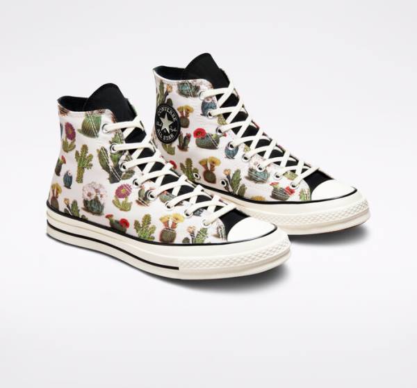 Converse Chuck 70 Succulents Sneakers High Sort | CV-576TLC