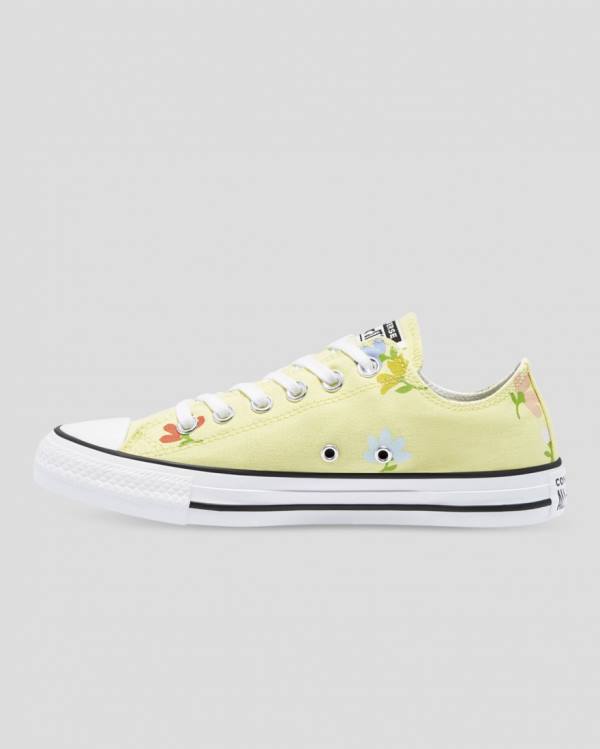 Converse Chuck Taylor All Star Garden Party Sneakers Low Gul | CV-913GUQ