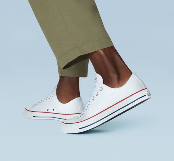 Converse Chuck Taylor All Star Optical White Sneakers Low Hvide | CV-194IXE